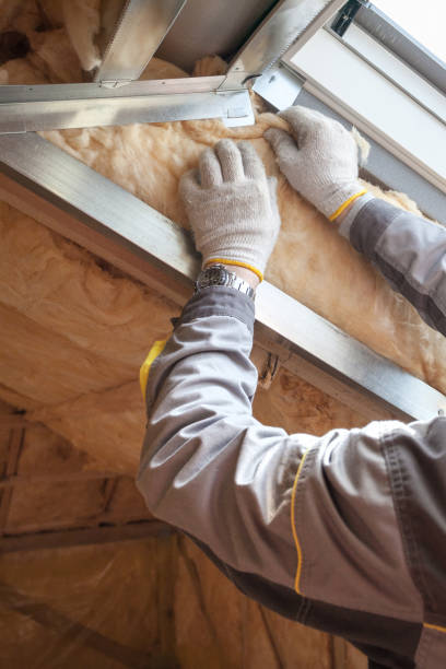 Best Types of Insulation in Blossom, TX